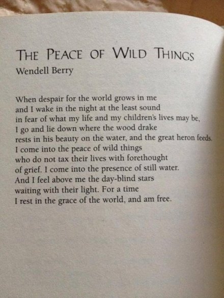 The peace of wild things